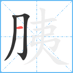 胰笔顺分解图片3