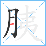 胰笔顺分解图片4