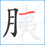 胰笔顺分解图片5