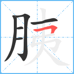 胰笔顺分解图片6