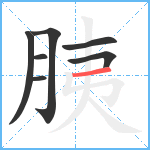 胰笔顺分解图片7