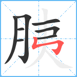 胰笔顺分解图片8