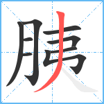 胰笔顺分解图片9