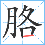 胳笔顺分解图片10