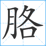 胳笔顺分解图片11