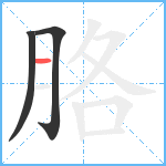 胳笔顺分解图片3