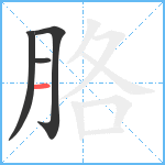 胳笔顺分解图片4