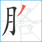 胳笔顺分解图片5