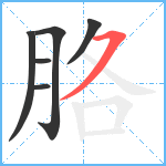 胳笔顺分解图片6