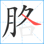 胳笔顺分解图片7