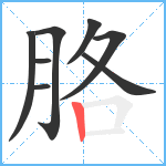 胳笔顺分解图片8