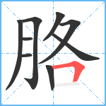 胳笔顺分解图片9