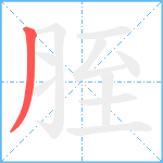 胵笔顺分解图片1