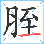 胵笔顺分解图片10