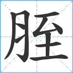 胵笔顺分解图片11