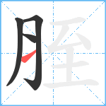 胵笔顺分解图片4