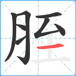 胵笔顺分解图片8