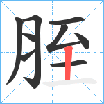 胵笔顺分解图片9