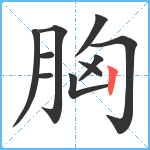 胸笔顺分解图片10