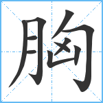 胸笔顺分解图片11