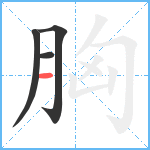 胸笔顺分解图片4