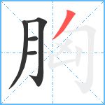 胸笔顺分解图片5