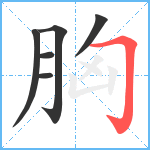 胸笔顺分解图片6