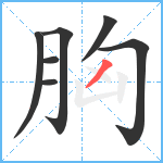 胸笔顺分解图片7