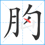 胸笔顺分解图片8