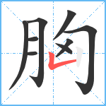 胸笔顺分解图片9