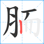 胹笔顺分解图片7