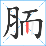 胹笔顺分解图片9