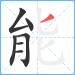 能笔顺分解图片7