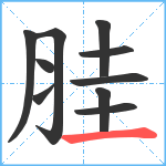 胿笔顺分解图片10