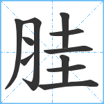 胿笔顺分解图片11