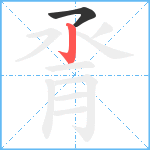 脀笔顺分解图片2