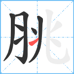 脁笔顺分解图片7