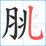 脁笔顺分解图片8