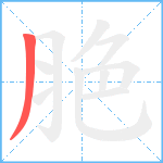 脃笔顺分解图片1