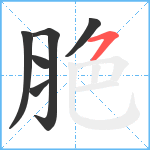 脃笔顺分解图片6