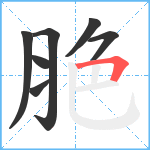 脃笔顺分解图片7