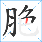 脃笔顺分解图片8