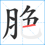 脃笔顺分解图片9