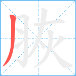 脄笔顺分解图片1