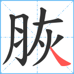 脄笔顺分解图片10