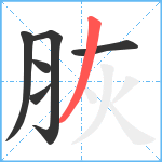 脄笔顺分解图片6