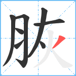 脄笔顺分解图片8