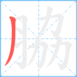 脇笔顺分解图片1