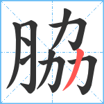 脇笔顺分解图片10