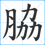 脇笔顺分解图片11